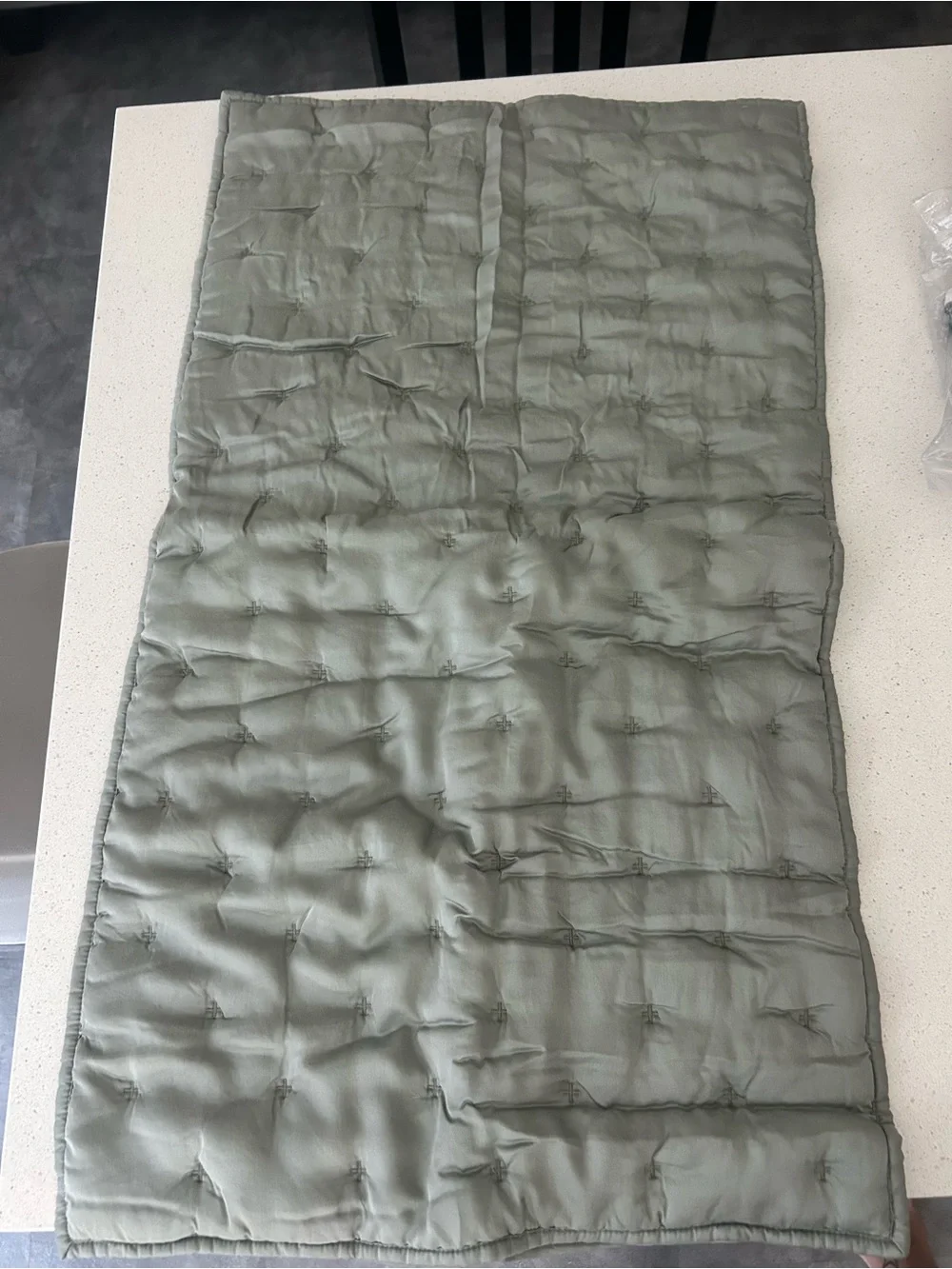 Pottery Barn TENCEL™ Quilted Sham King Eucalyptus Green 1 NWOT
